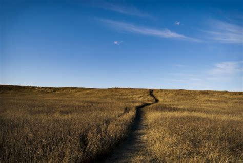 Nose Hill Park, Calgary, Alberta, Canada [1920x1285] (OC) : r/EarthPorn