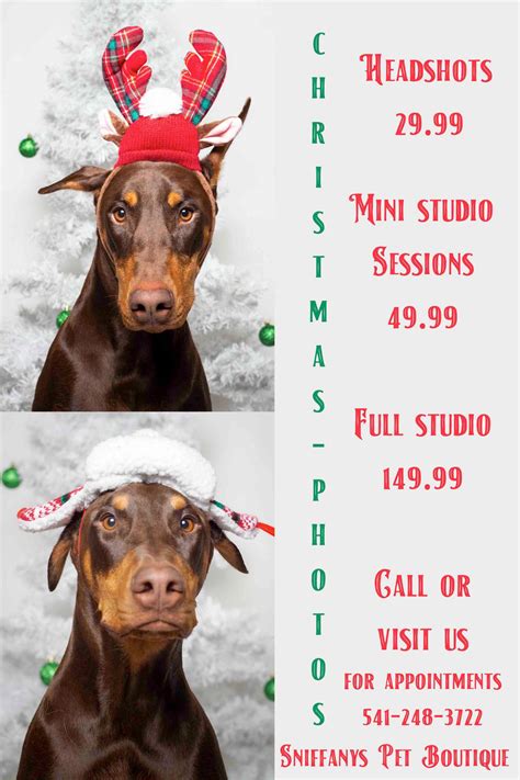 Christmas Pet Photoshoots - Sniffany's Pet Boutique