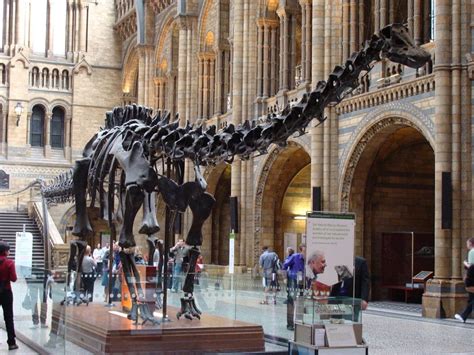 Dippy the Dinosaur Leaves London’s Natural History Museum After 112 Years