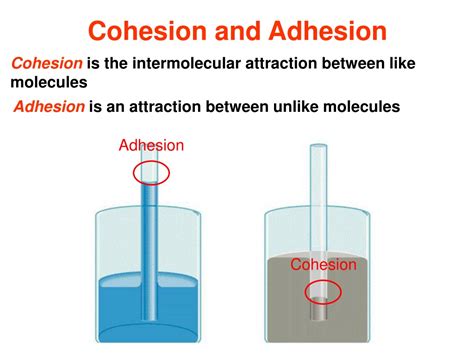 PPT - Properties of Liquids PowerPoint Presentation, free download - ID ...