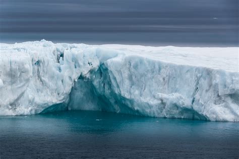 large icebergs in arctic ocean – animals in arctic – Filmisfine