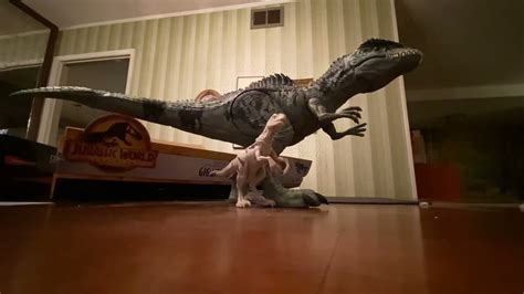 Giganotosaurus size comparison with other figures - YouTube