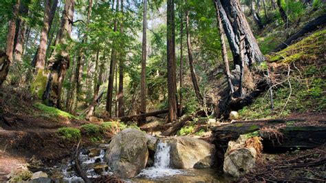 The Best of Big Sur Hiking Trails