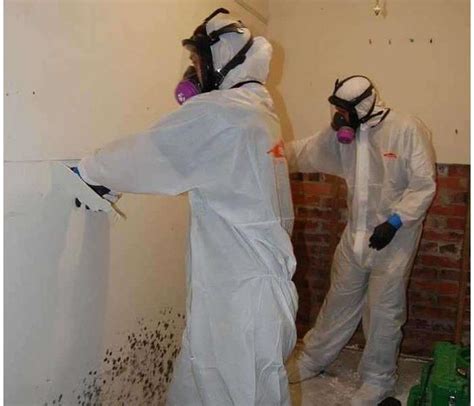 Understanding Mold Remediation - Steps 4 through 7