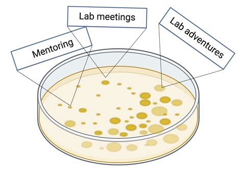 Lab Culture – Alexander Lab – UW–Madison