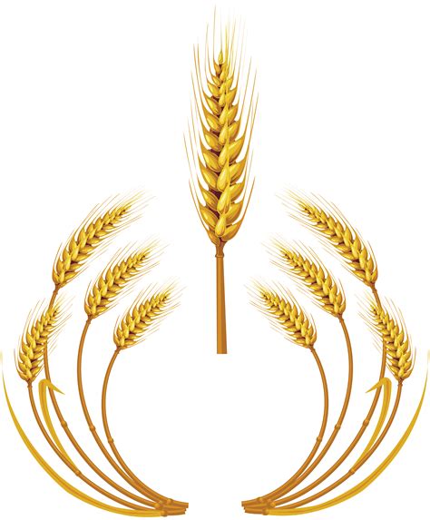 Top more than 208 wheat logo png best - bachhoathinhxuyen.vn