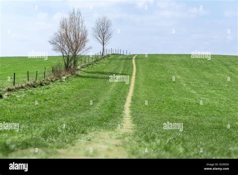 Green saturated Landscape Stock Photo - Alamy