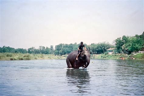 Western Tarai - Nepal - Tripcarta