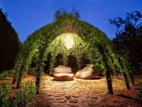 Living willow structures - grow your own gazebo, arches and pergolas