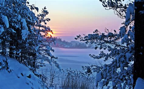 Winter morning, snow, sunrise, trees wallpaper | nature and landscape ...