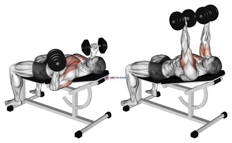 Dumbbell Incline reverse-grip 30 degrees bench press - Home Gym Review