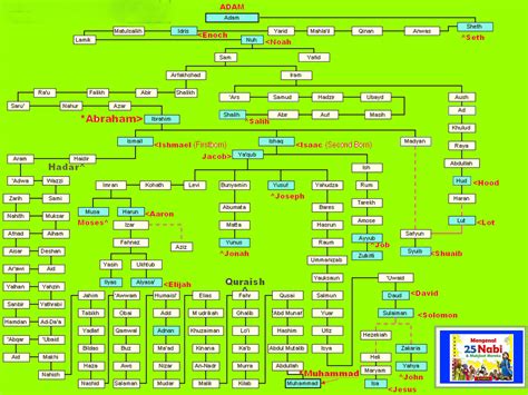 Nama Nama Nabi Dan Rasul Beserta Sifat Wajib Diketahui Paling Lengkap ...