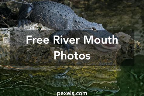 Free stock photos of river mouth · Pexels