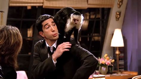 Monkey Who Played Marcel on ‘Friends’ Has a Role in ‘Y’ | Us Weekly