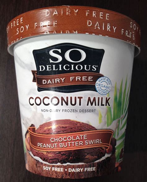 coconut milk ice cream brands