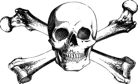 Download And Bones Drawing Skull Crossbones Free Download PNG HQ ...