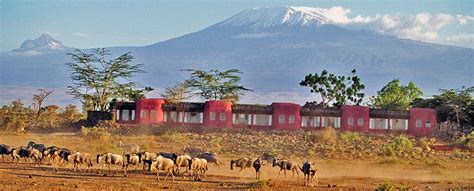 Amboseli Serena Safari Lodge | Amboseli National Park Accommodation