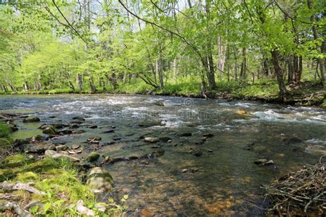 Scenery with Oconaluftee River Stock Photo - Image of natural ...