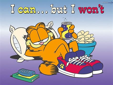 Garfield, lazy, HD wallpaper | Peakpx