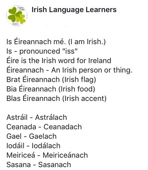 Irish Language Learners