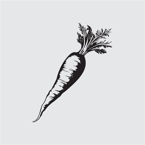 Carrot Image Vector 36120427 Vector Art at Vecteezy