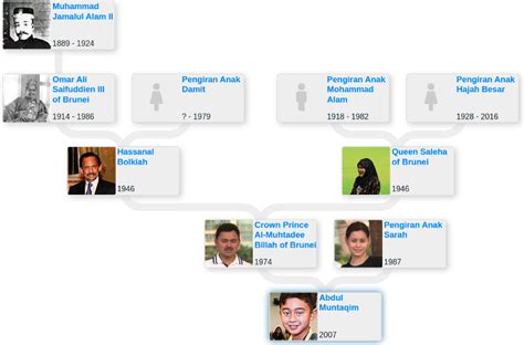 Family tree of the Sultan of Brunei - Blog for Entitree