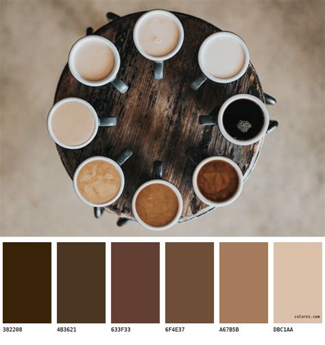 RAL 060 40 20 - Coffee Bean Brown color palettes and color scheme ...