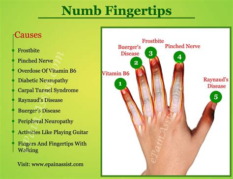 Numb Fingertips|What Can Cause Your Fingertips To Go Numb?