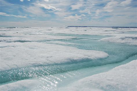 Formation of coastal sea ice in North Pacific drives ocean circulation ...