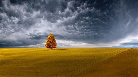 Wallpaper : 500px, sky, clouds, landscape, field, trees, digital art ...