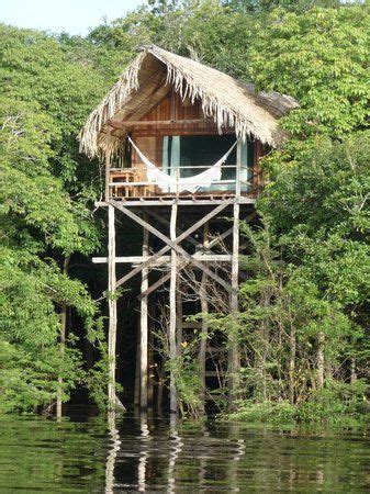 Juma Amazon Lodge | Amazon lodge, Jungle house, Jungle life