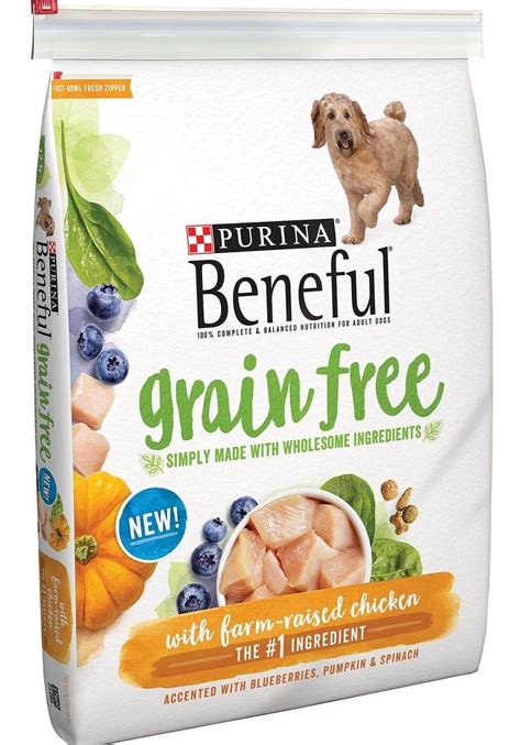 Digging into the 10 Best Grain-Free Dog Foods for Your Pooch: A ...