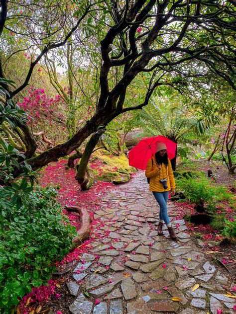 Secret Gardens Of Heligan Cornwall | Fasci Garden