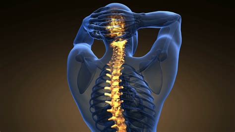 Backbone Backache Science Anatomy Scan Of Stock Motion Graphics SBV ...