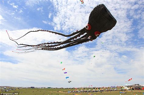 The World's Largest Kite | Kitty Hawk Kites