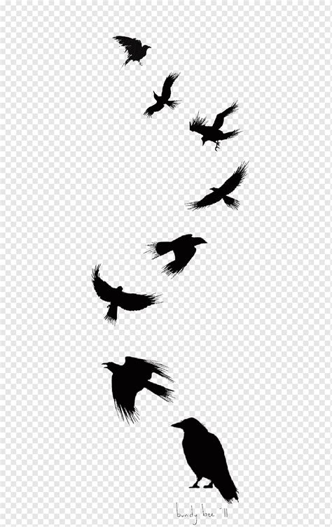 Eight black birds, Common raven Bird Tattoo Drawing Flight, Ink Crow ...