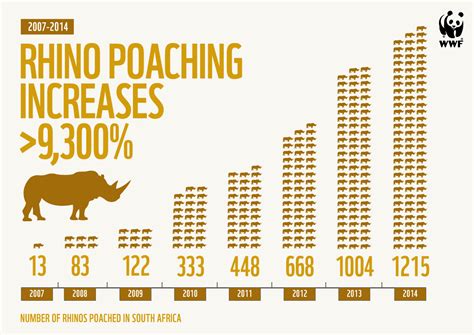 Major Increase in Rhino Poaching - Fascinating Africa