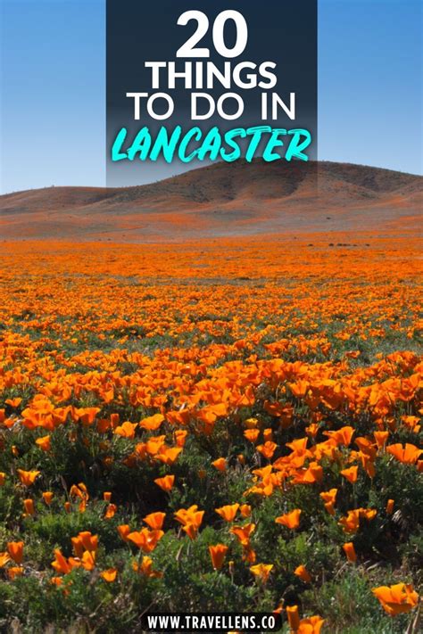 20 Best Things to Do in Lancaster, California | Things to do, State ...