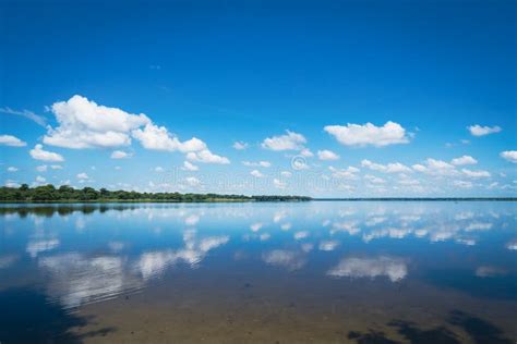 Lake Jesup stock image. Image of lake, boardwalk, landscape - 246706969