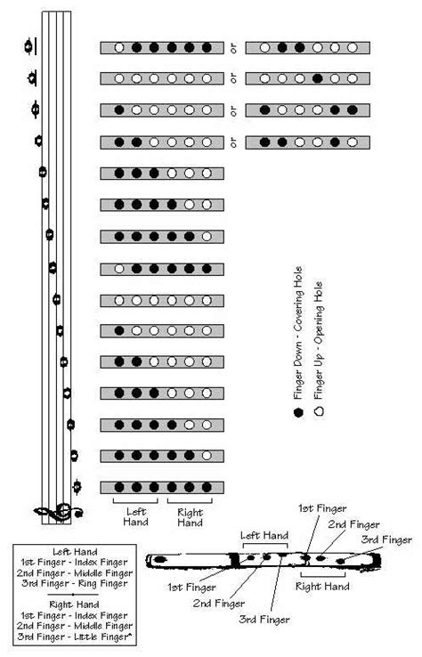 Dizi Bamboo Flute Key Of D Complete Finger Charts With