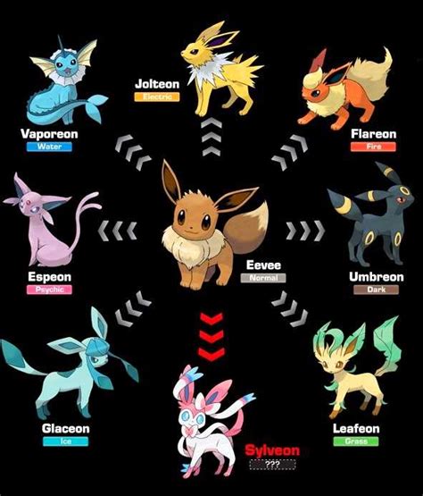 How to evolve Eevee on Pokemon Go: all the names