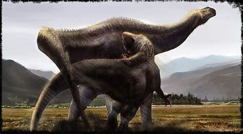 *Carcharodontosaurus & *Paralititan. Art by Cheung Chung Tat ...