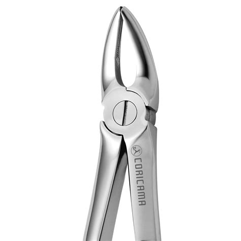 TOOTH FORCEPS N. 30 – P2 Dental Store