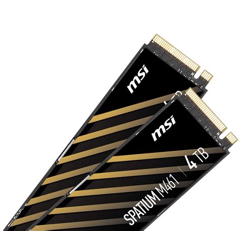 SPATIUM M461 PCIe 4.0 NVMe M.2