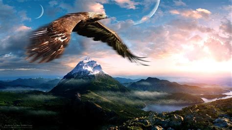 Large Bald Eagle Flying In The Clouds, Mountains Rocky Mountain Peaks ...