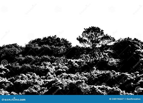 Black and White Forest Graphic Silhouette Stock Illustration ...