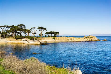 10 Best Beaches in Monterey - Which Monterey Beach is Right For You ...