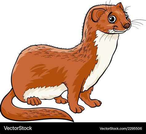 Weasel animal cartoon Royalty Free Vector Image