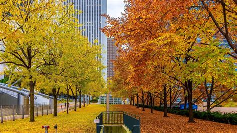 19 Best Places to See Fall Foliage in Chicago in 2020