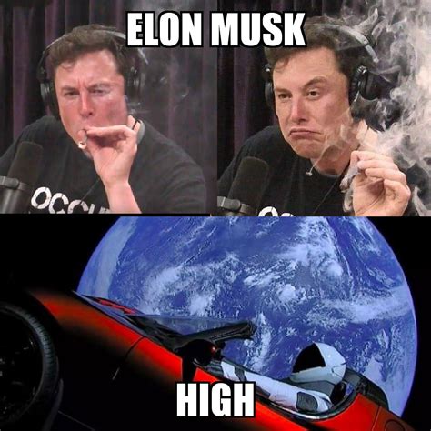 Elon Musk Meme Template